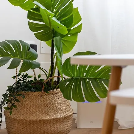 Appartement Maison Zara *